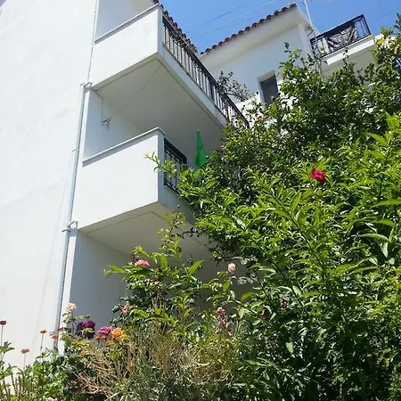 Maison d'hôtes Friderica House