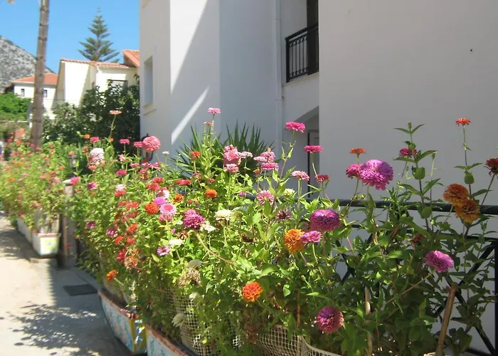 Friderica House